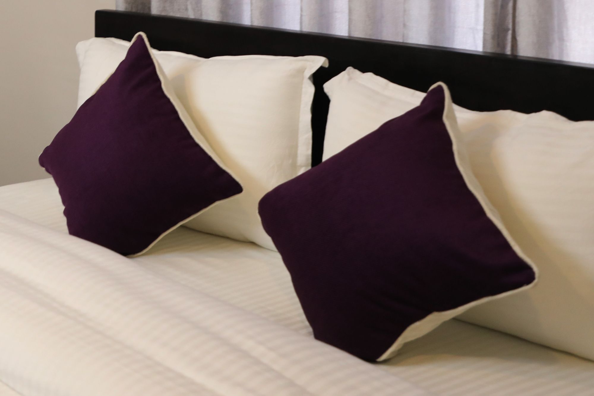 Ausfinn Hotel Metro Inn Катманду Экстерьер фото